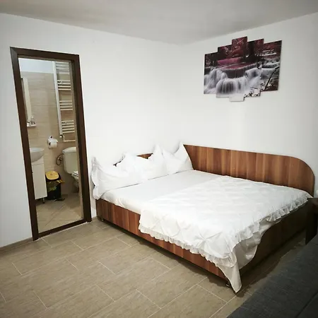 Гостьовий будинок Marius-camere De Inchiriat