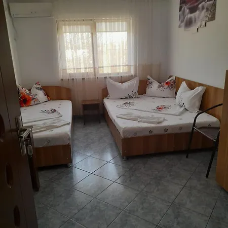 Гостьовий будинок Marius-camere De Inchiriat 4*