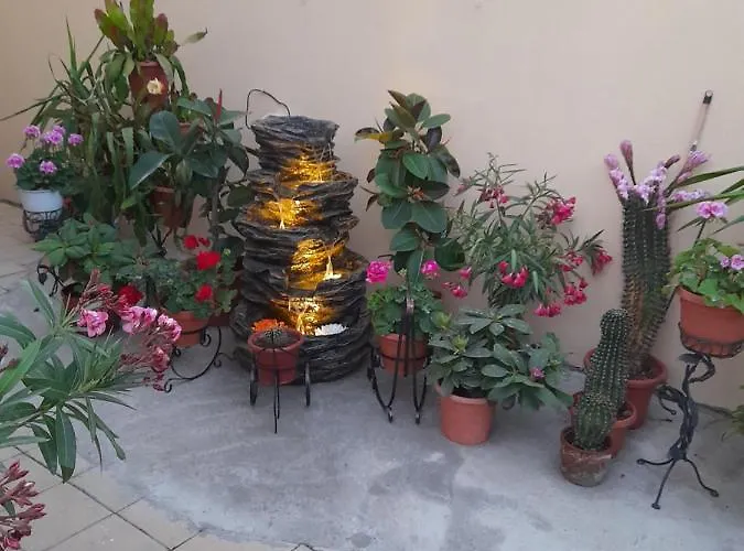 Marius-camere De Inchiriat 4*